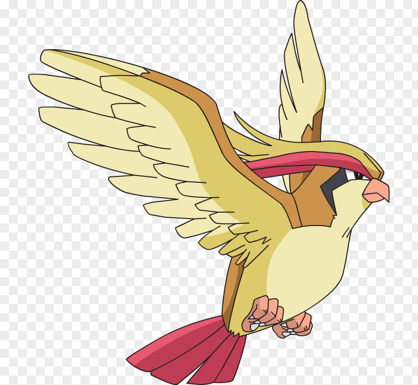 Tipos De Peixes Pokémon GO Ash Ketchum Pidgeotto PNG