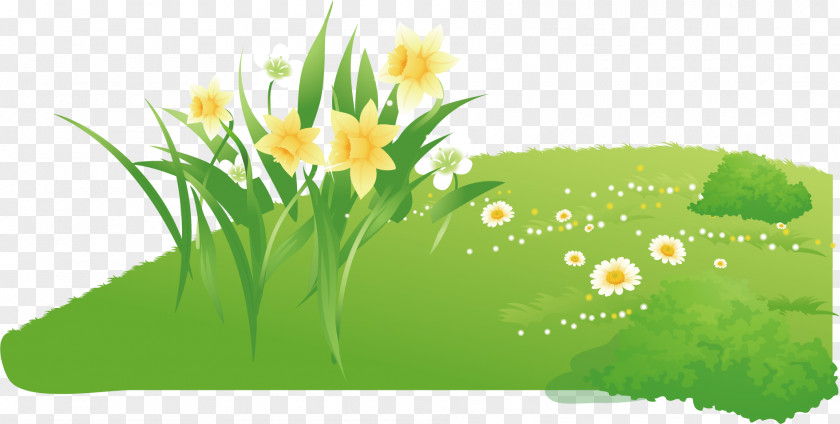 Cartoon Green Grass PNG