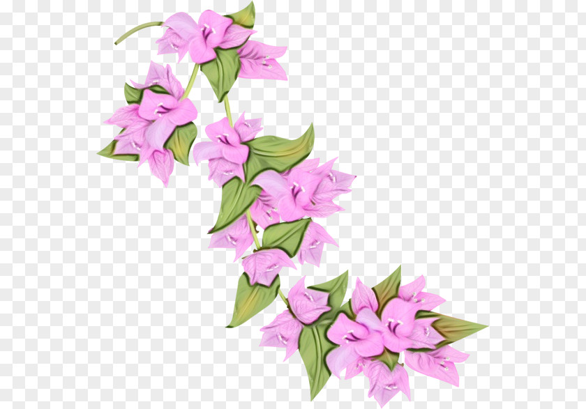 Flower Pink Plant Bougainvillea Lilac PNG