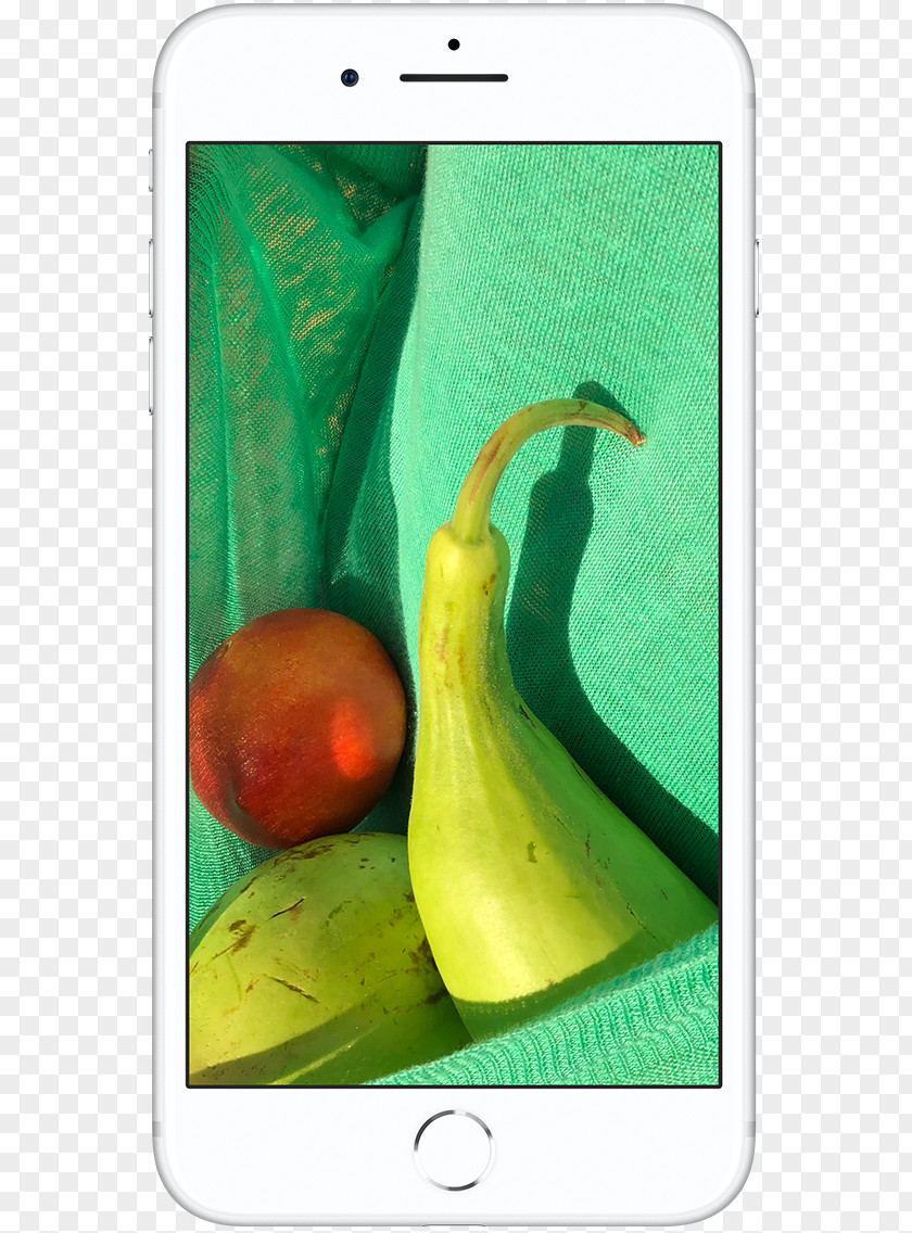Hd Brilliant Light Fig. IPhone 8 Plus Color Apple Gamut Display Device PNG