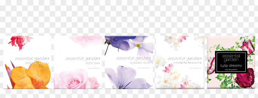 Perfume Brand Floral Design Font PNG