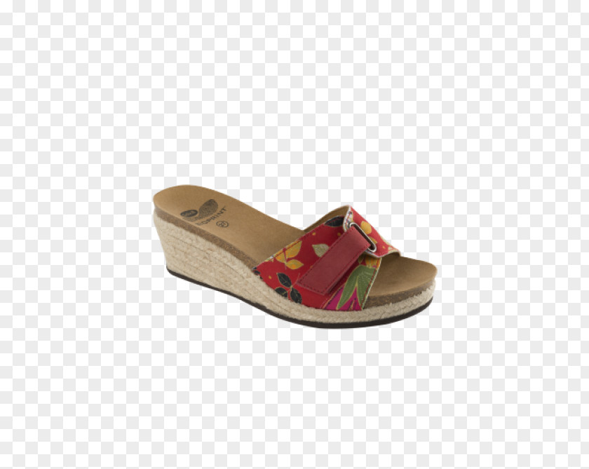 Sandal Slipper Dr. Scholl's Shoe Footwear PNG
