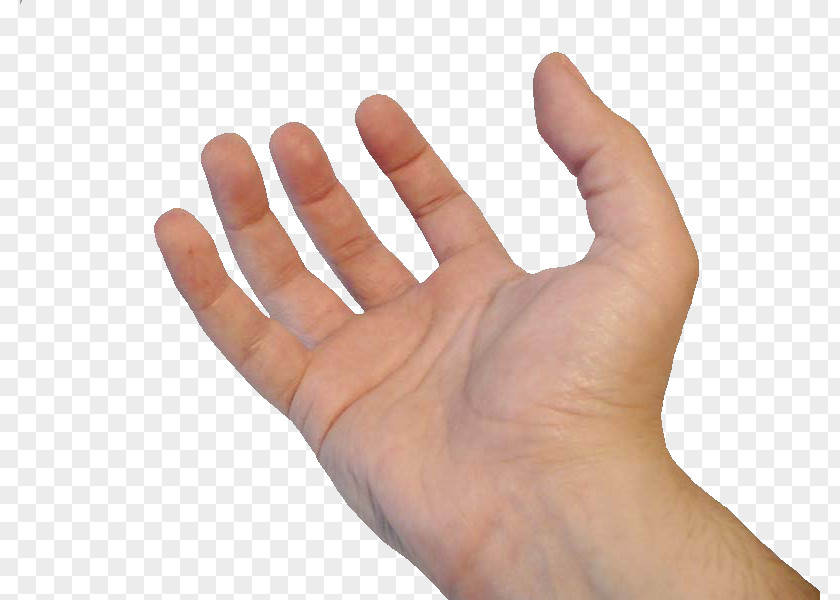 Tc Thumb Hand Model Nail PNG