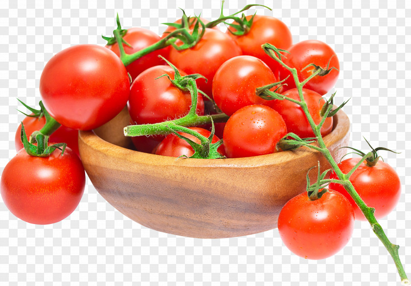 Three Tomatoes Plum Tomato Bush Cherry Vegetable Pizza PNG