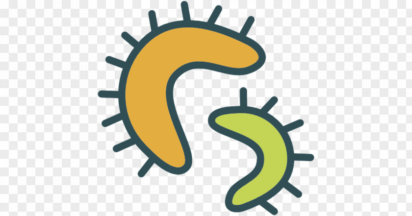 Bacteria PNG