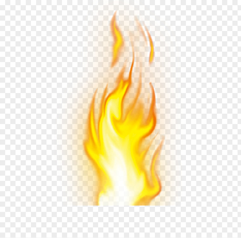 Burning Fire Flame Combustion Download PNG