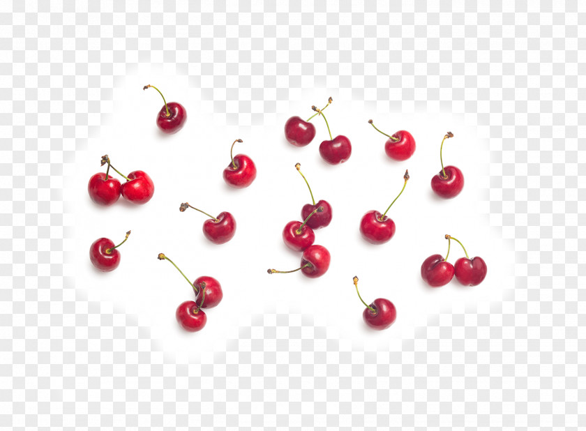 Cherry Material Juice Fruit Snacks Cranberry PNG