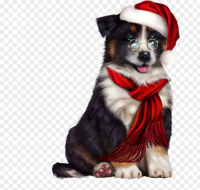 Dog Breed Puppy Christmas Clip Art PNG