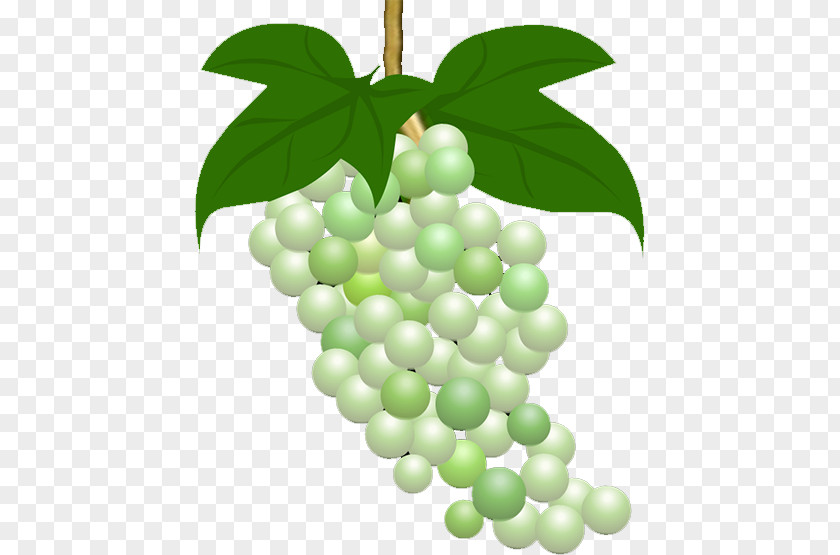 Grape Fruit Food Gratis PNG