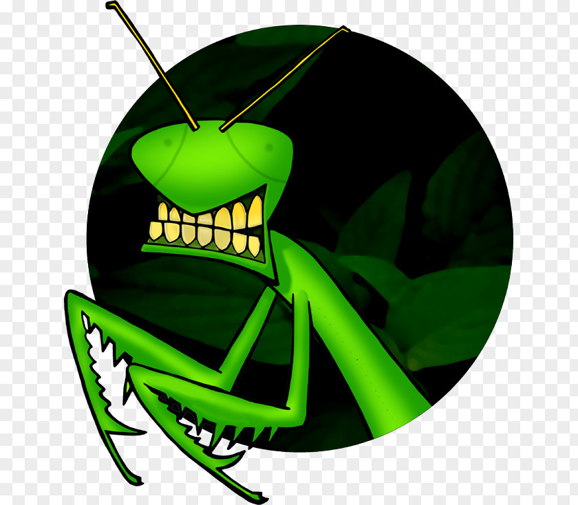 Insect Grasshopper Pará Weight Loss Clip Art PNG