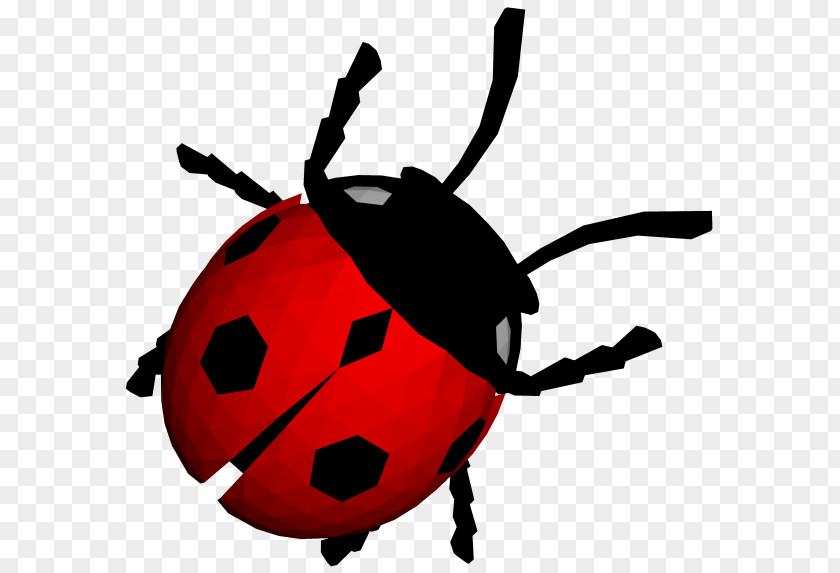 Ladybug Transparency Image Clip Art Vector Graphics PNG