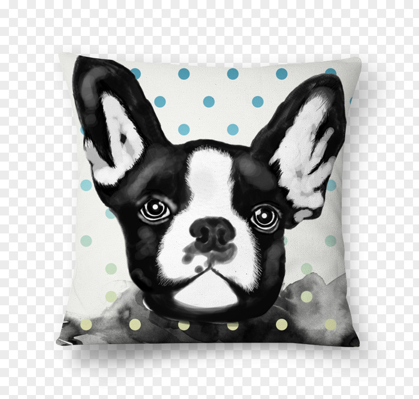 Bulldog Frances Boston Terrier Cushion Throw Pillows French PNG