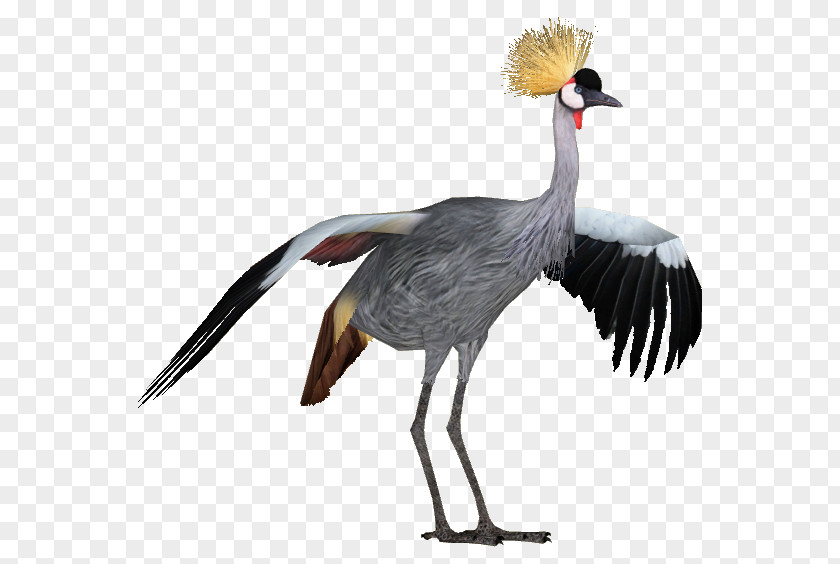 Crane Zoo Tycoon 2 Grey Crowned Longisquama Bird PNG