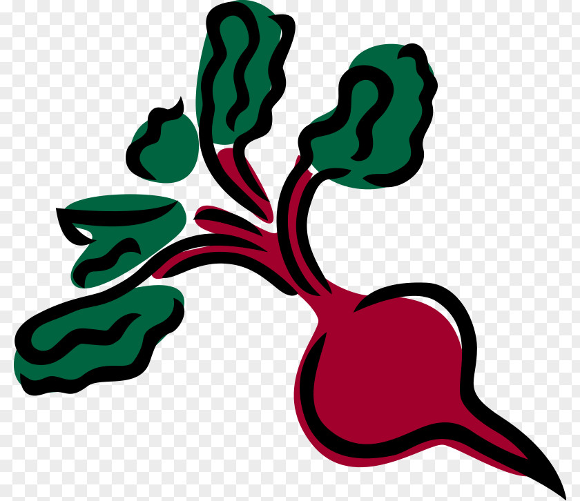 Free Pictures Of Vegetables Sugar Beet Beetroot Vegetable Clip Art PNG