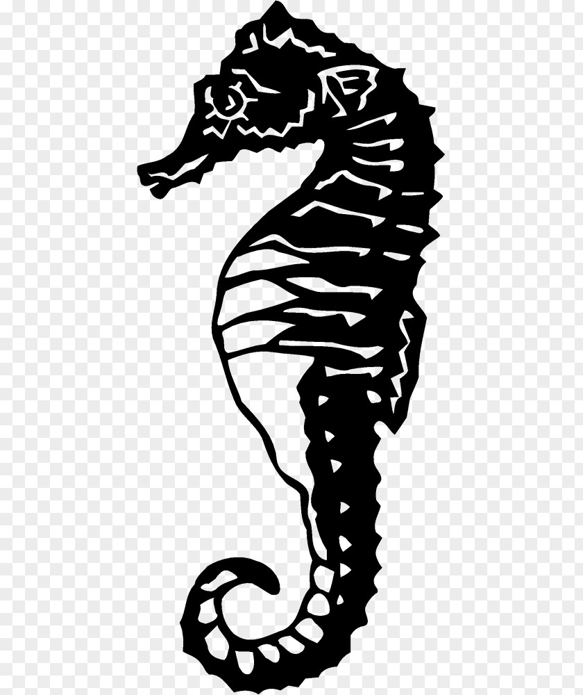 Seahorse Photography Art Clip PNG