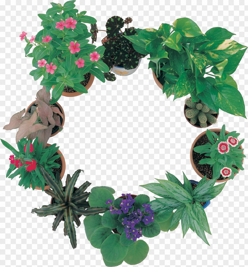 Wreath Flower Garden Roses Picture Frames PNG