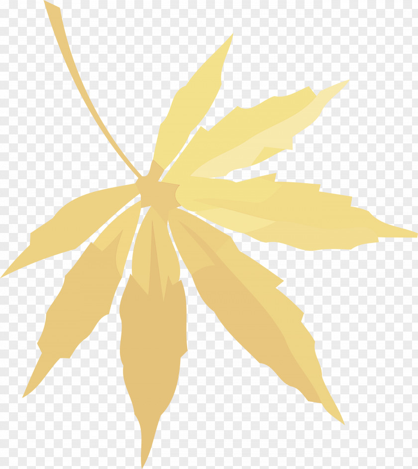 Autumn Leaf Fall Yellow PNG