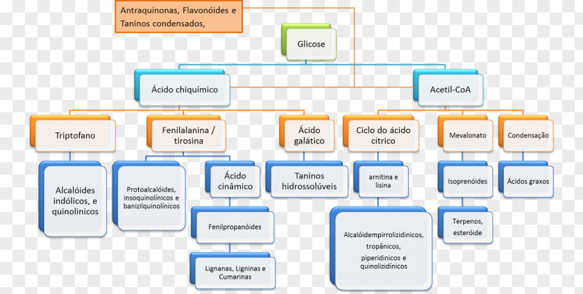 Biological Medicine Catalogue Online Advertising Brand Organization PNG