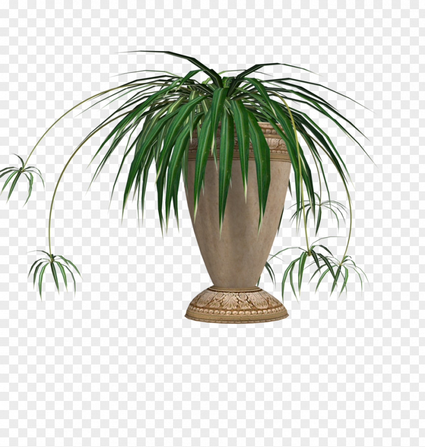 Eps (2) Image Flowerpot Penjing Palm Trees PNG