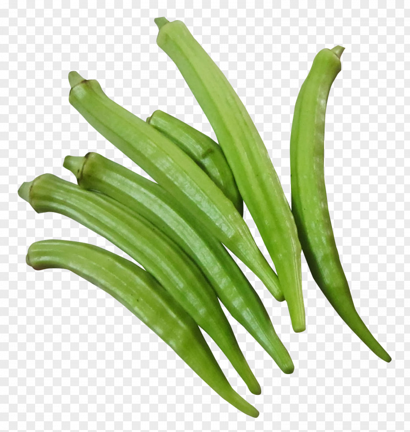 Fresh Okra Vegetable Food PNG