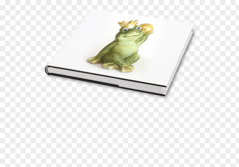 Frog Tree Rectangle PNG