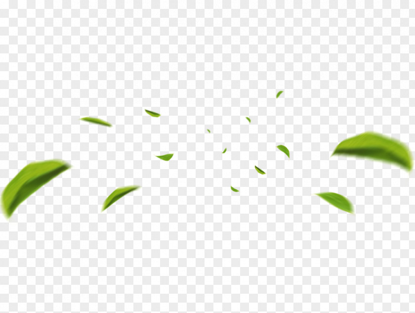 Leaf Clip Art Image JPEG PNG