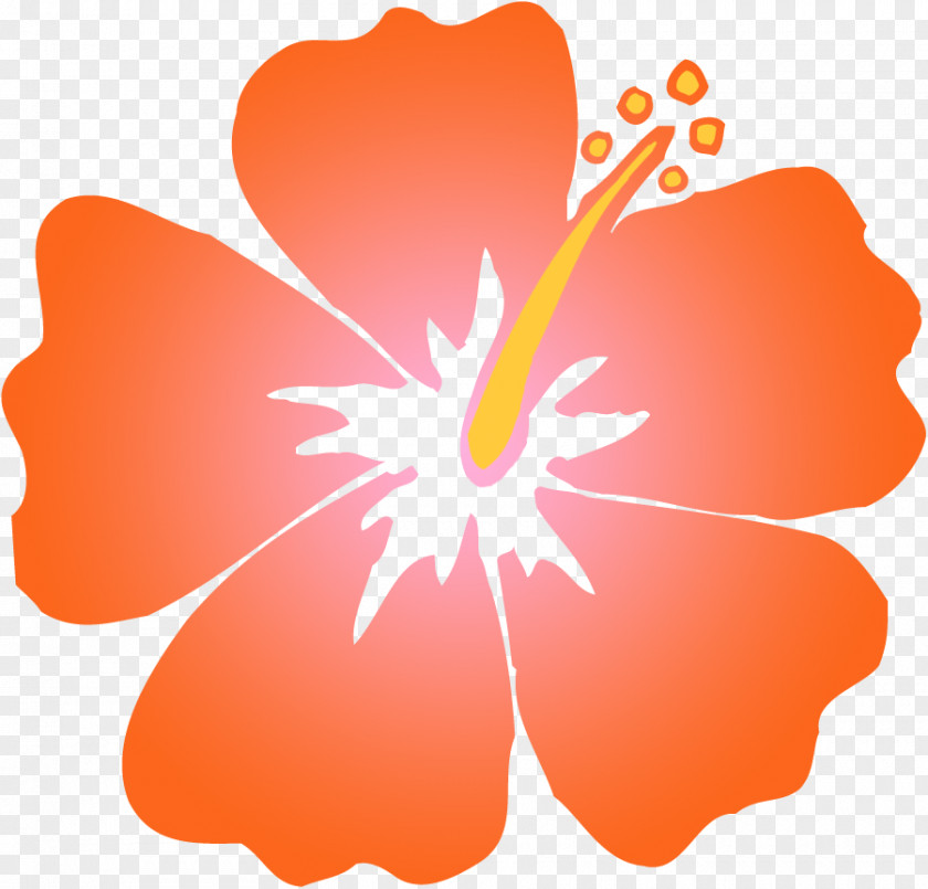 Orange Hibiscus Cliparts Schizopetalus Hawaiian Clip Art PNG