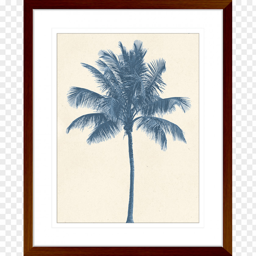 Poster Wall Coconut Tree Hyophorbe Lagenicaulis Stock Photography PNG