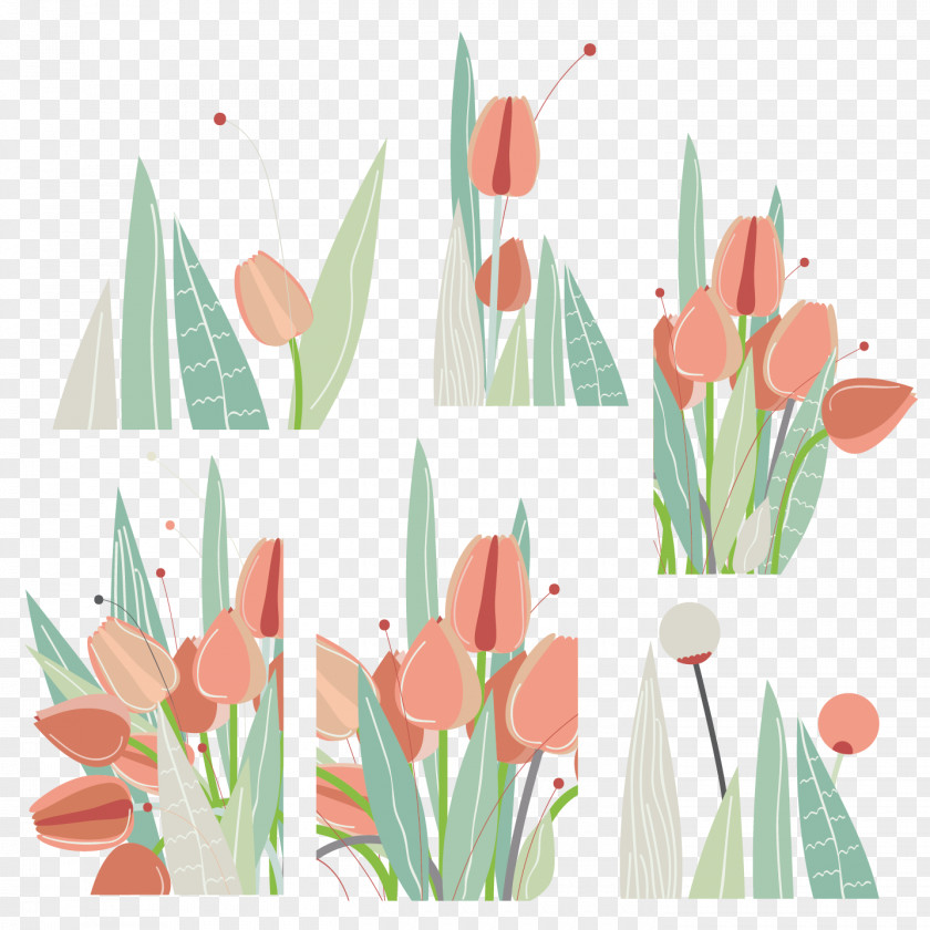 Tulip Cartoon Floral Design PNG