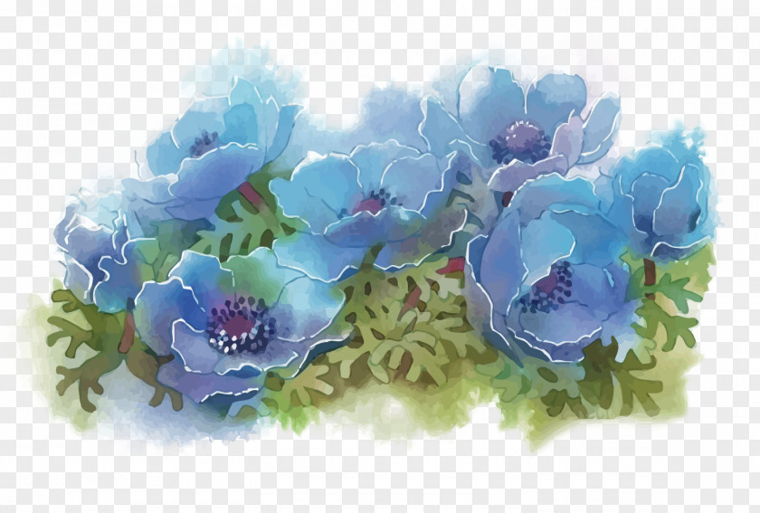 Vector Flowers Floral Design Flower Illustration PNG