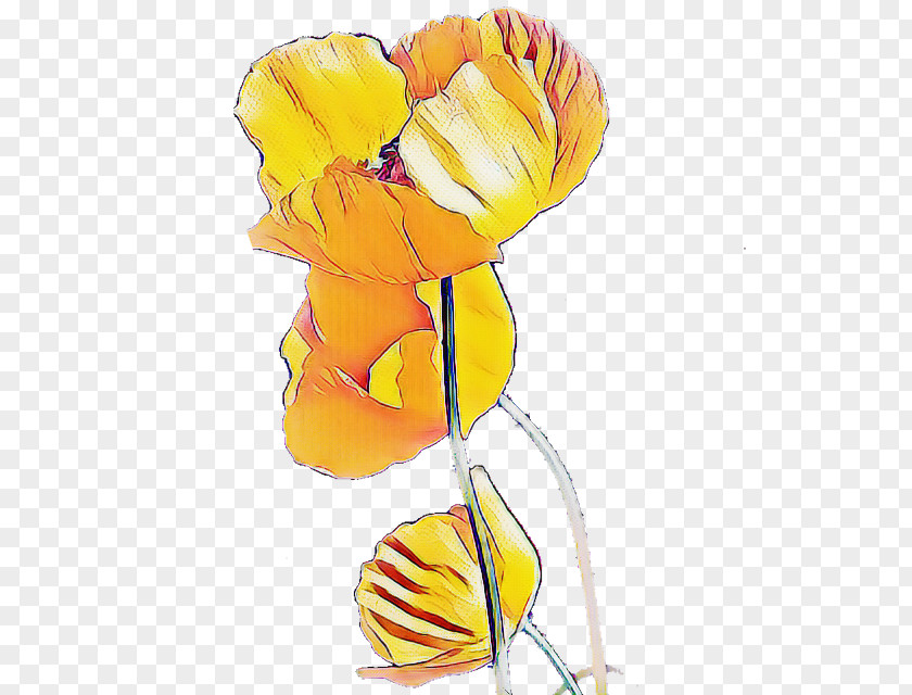 Yellow Cut Flowers Plant Tulip PNG