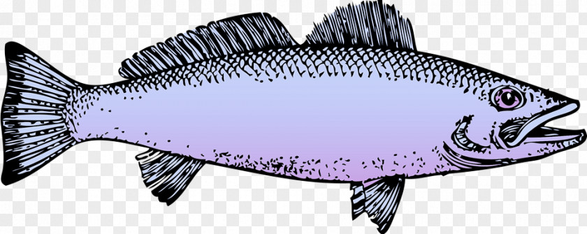 Oily Fish Sardine Milkfish Barramundi PNG