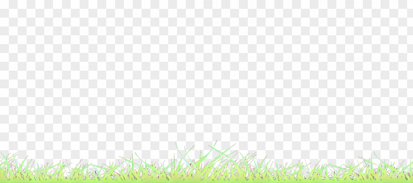 Plant Sky Green Grass Leaf Yellow Meadow PNG