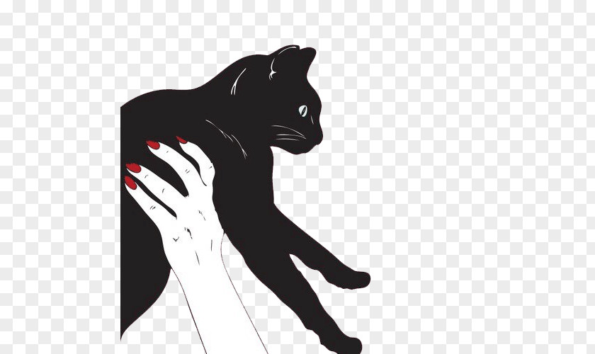 Cat Black Meow Behavior PNG