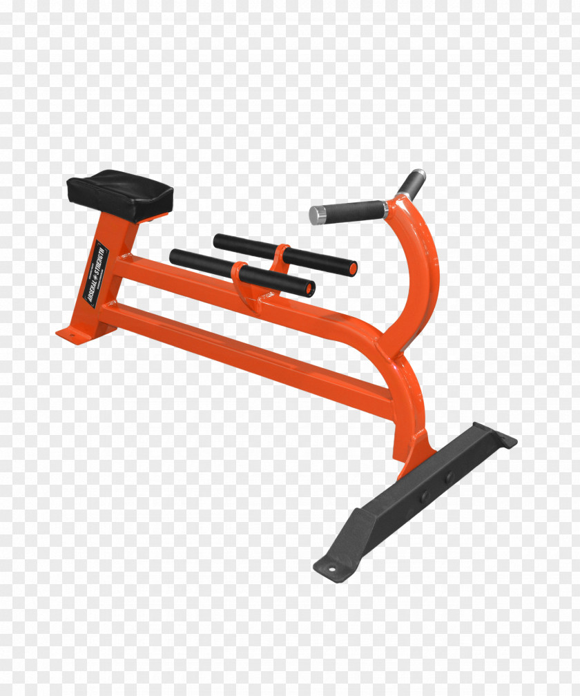 Dumbbell Exercise Machine Bent-over Row Bench Strength Training PNG
