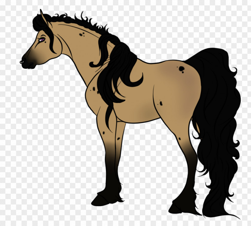 Flirty 30 Foal Stallion Colt Mare Pony PNG