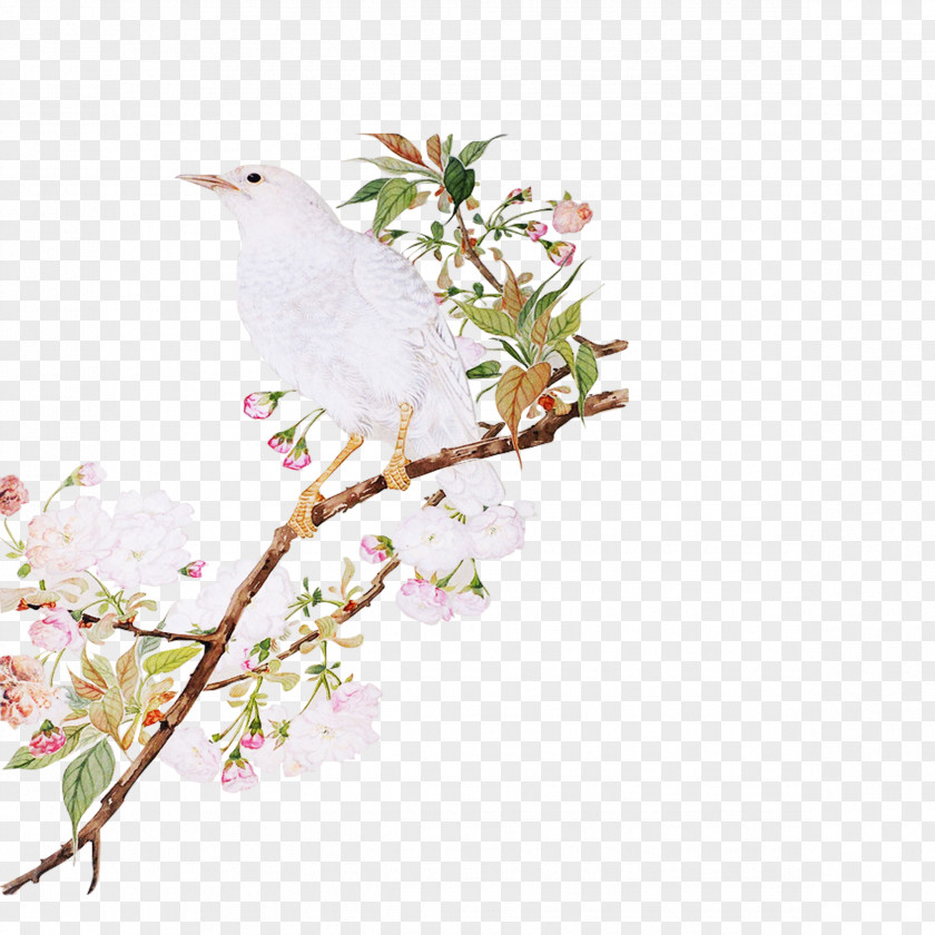 Retro Hand-painted Cherry Trees Do Not Pick Material Bird-and-flower Painting PNG