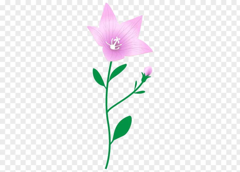 Rose Family Clip Art Herbaceous Plant Stem PNG