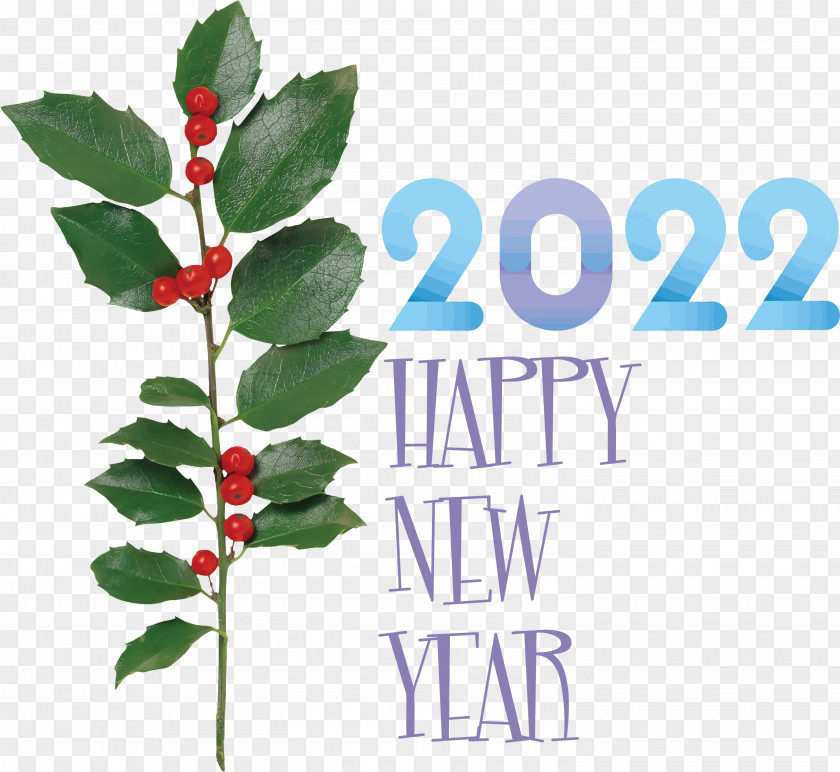 2022 New Year Happy PNG