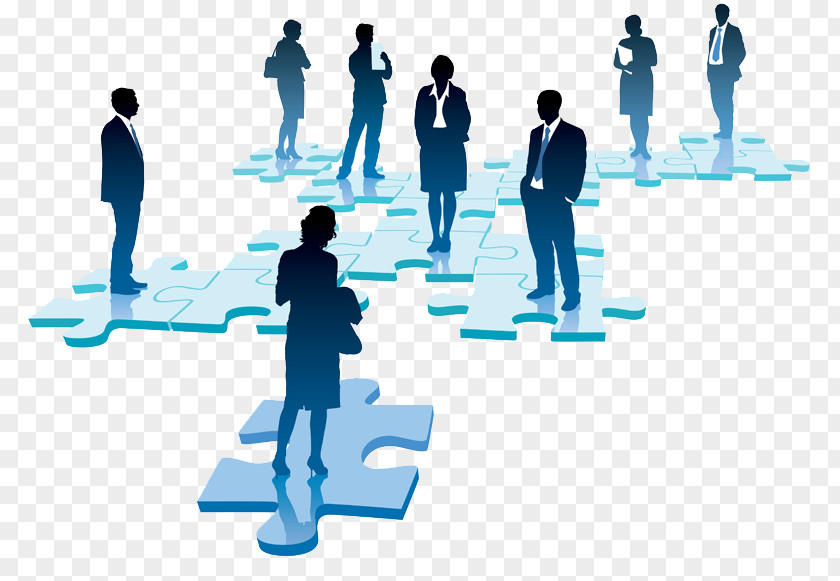 Business Human Resource Businessperson Management PNG