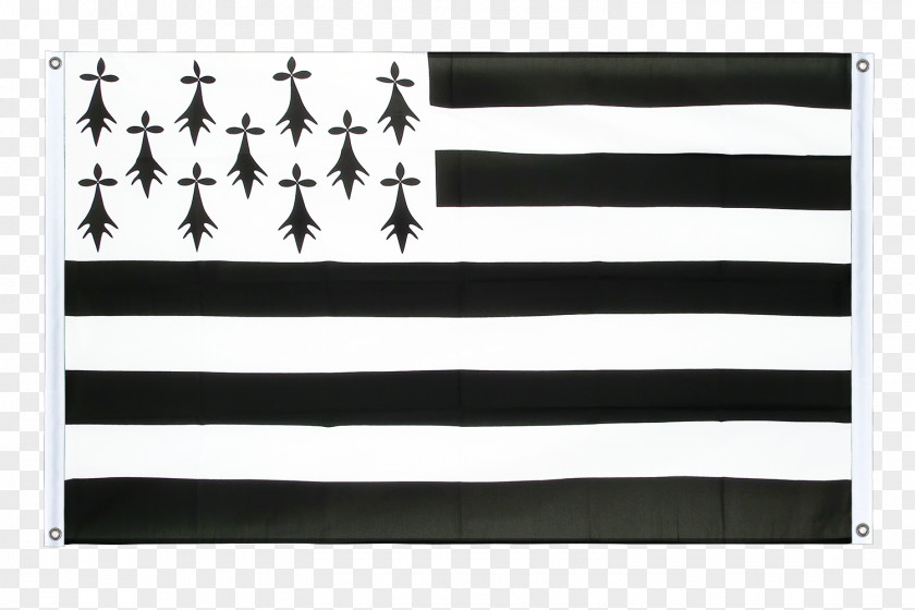 Flag Of Brittany Breton Language Kroaz Du PNG