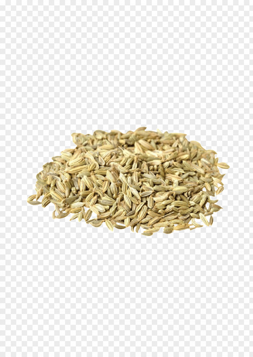 Florence Fennel Seeds Ajwain Food To Live PNG