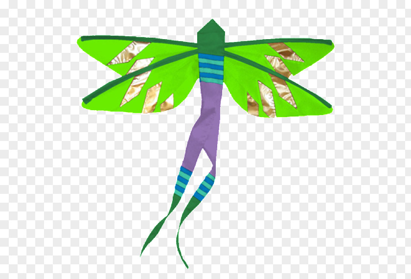 Hanging Flags Insect Dragonfly Damselfly Butterfly Animal PNG