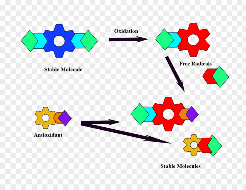 Loose Leaf Effect Free-radical Theory Of Aging Antioxidant Redox Tea PNG