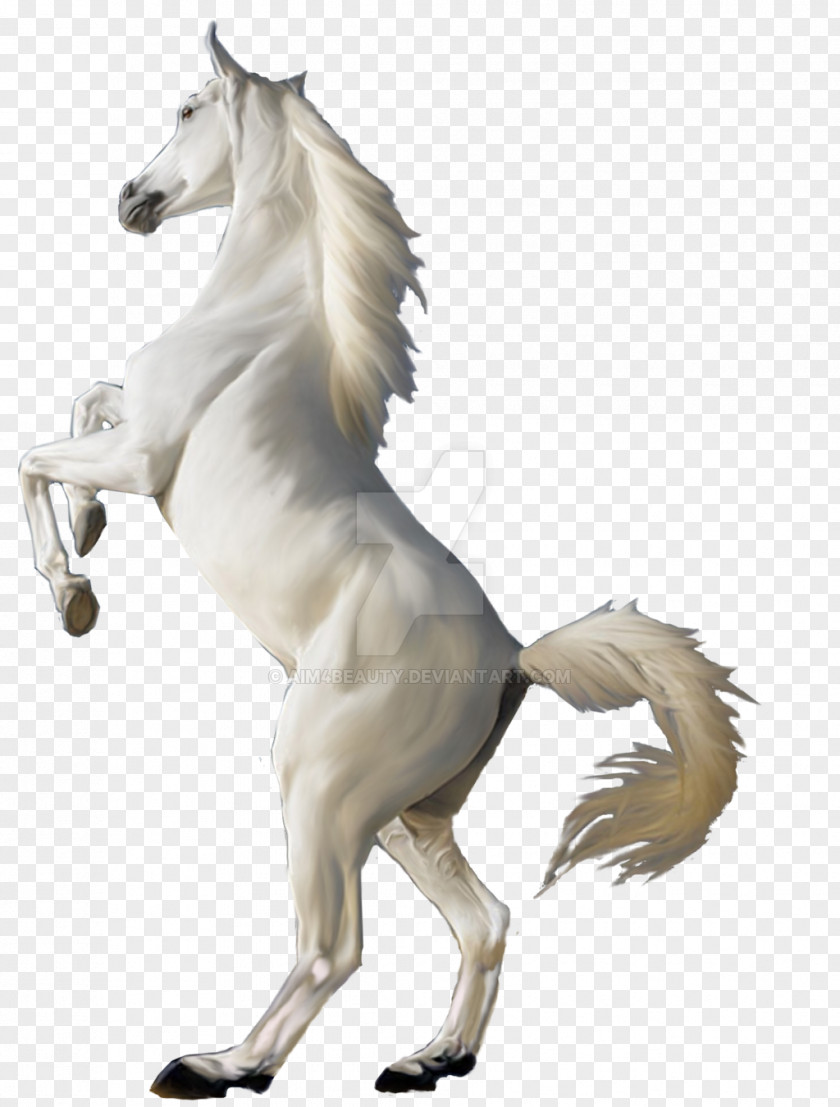 Mustang Desktop Wallpaper White Clip Art PNG