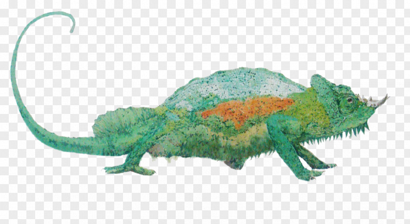 Painted Green Chameleon Chameleons Painting Illustration PNG