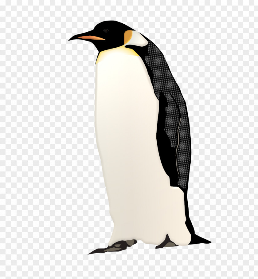 Penguin King Neck Beak PNG