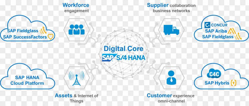 Sap Material SAP S/4HANA HANA SE Digital Transformation Cloud Platform PNG