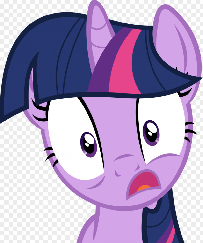 Sparkle Vector Twilight Rainbow Dash Pony Art PNG