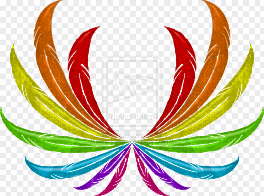 Beautiful Rainbow Wing Feather Green PNG